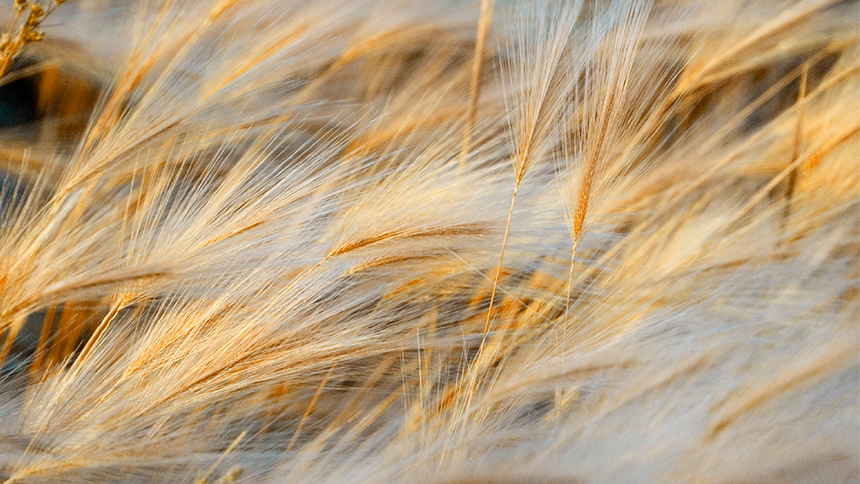 Aspect Media Aspect Media